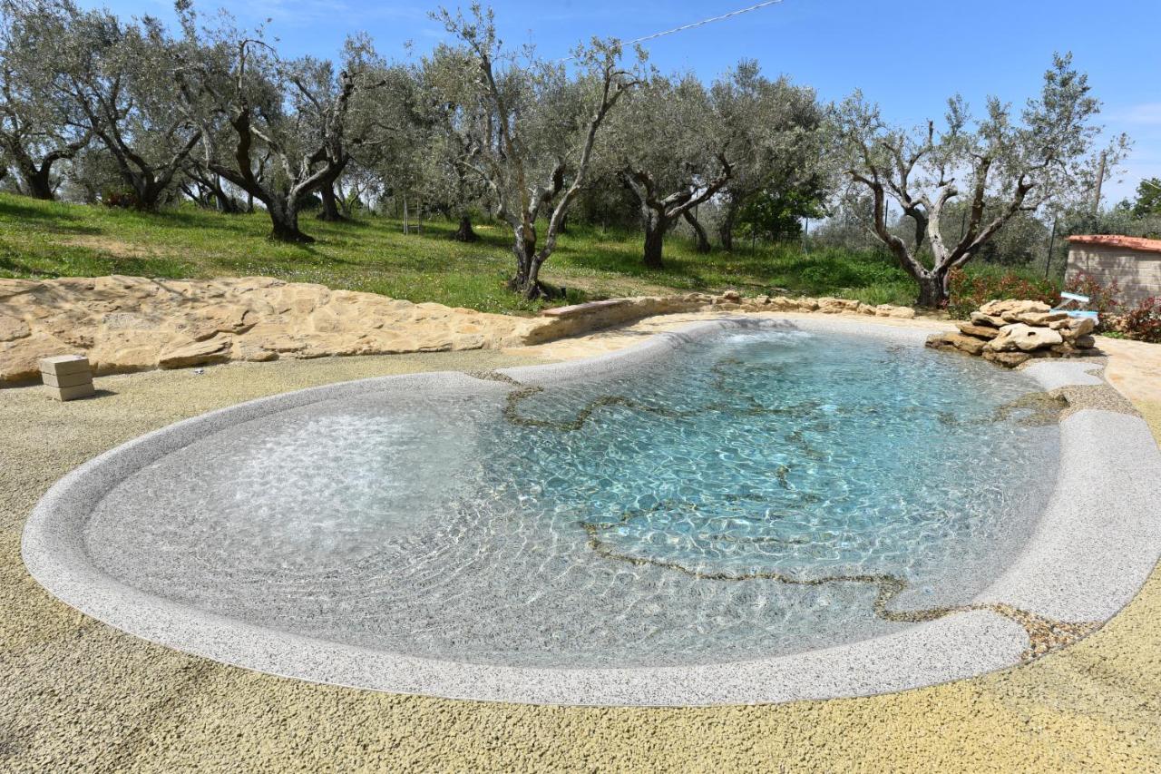 Case&Colline Villa Laura Montescudaio Exterior foto